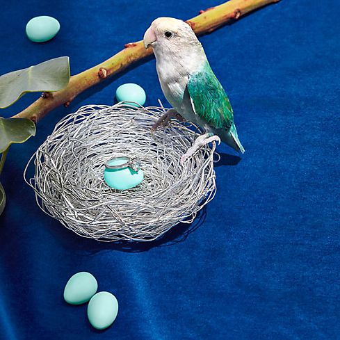 Tiffany & Co Shop Décor