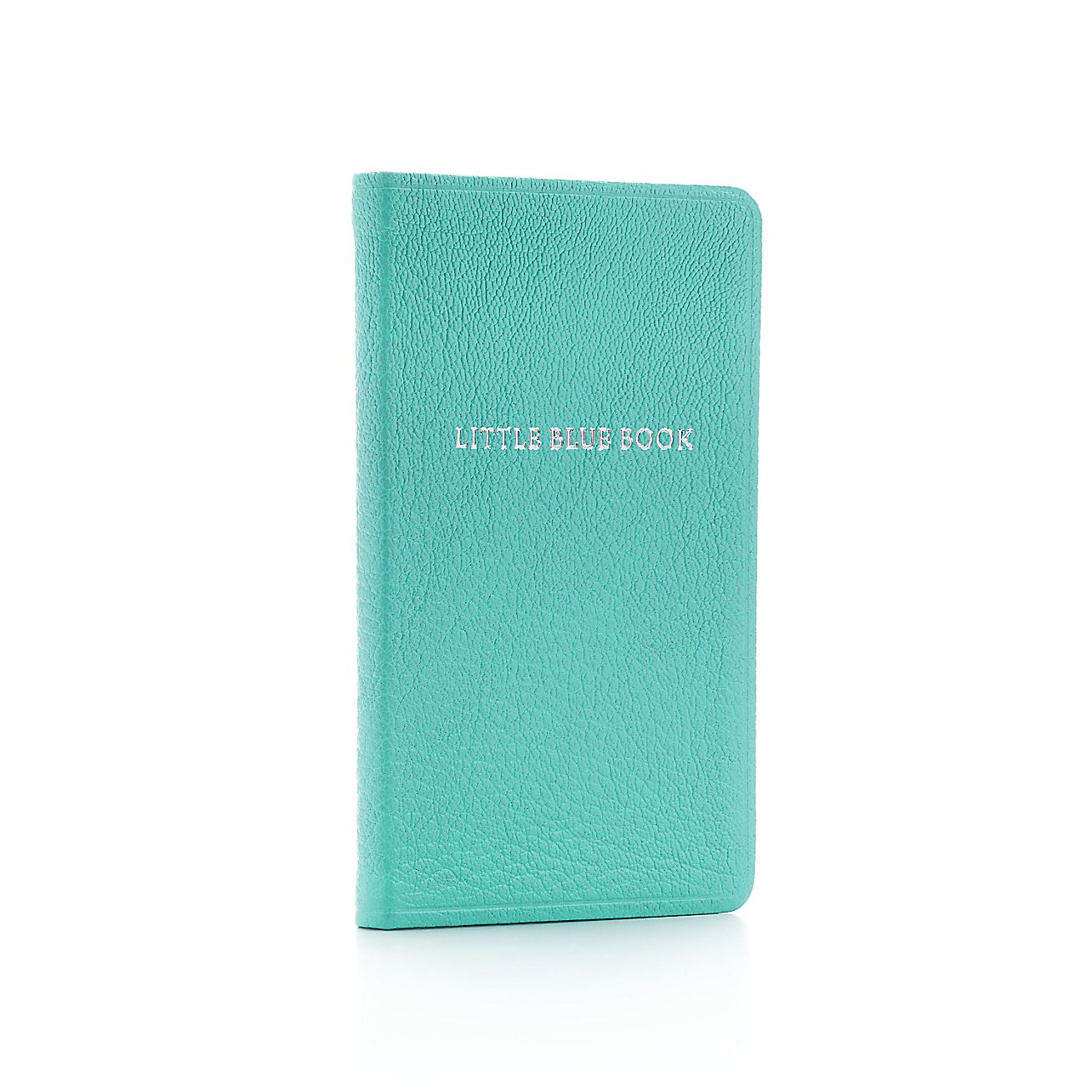 Little Blue Book journal in Tiffany Blue leather with lined pages
