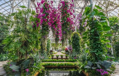 Tiffany & Co Foundation