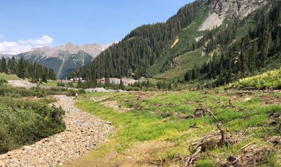 Tiffany & Co Foundation