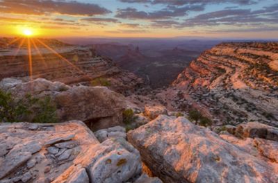 Tiffany & Co Foundation