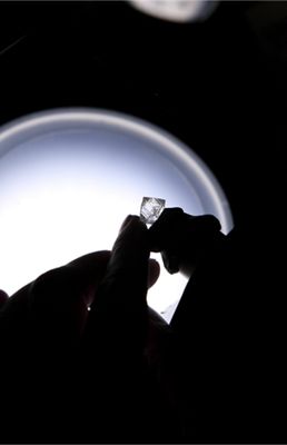 Tiffany & Co Foundation