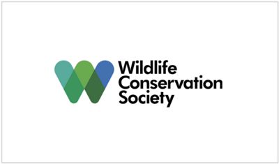 Tiffany & Co Foundation