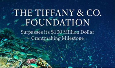 Tiffany & Co Foundation