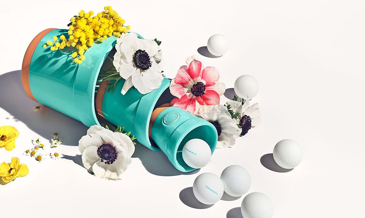 Tiffany & Co. Home & Accessories Collection