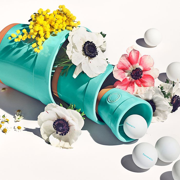 Tiffany & Co. Home & Accessories Collection