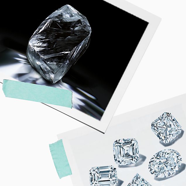 Tiffany & Co. The Latest January