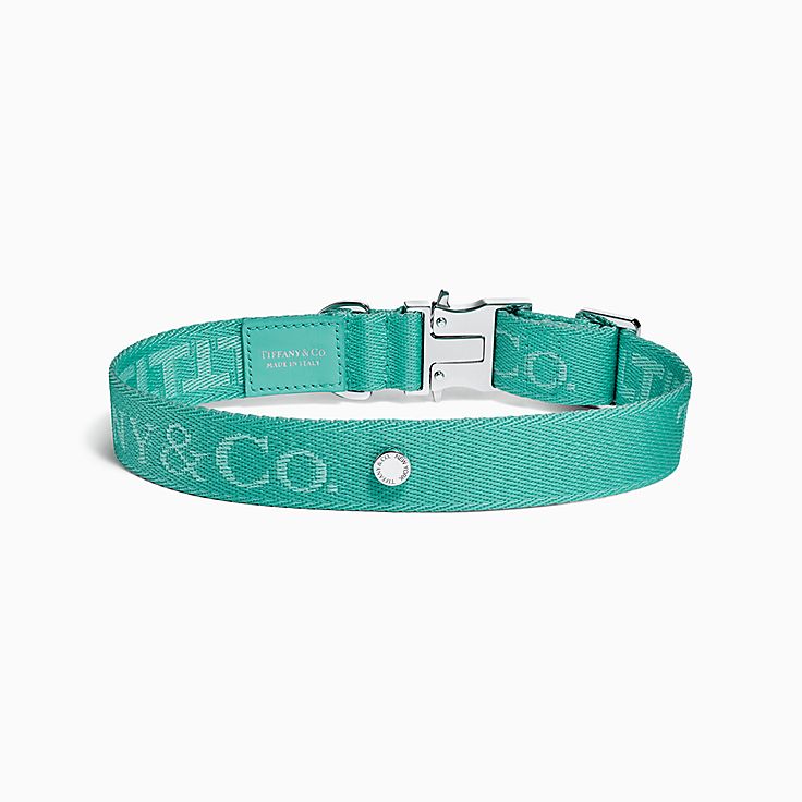 cat tiffany blue dog collar
