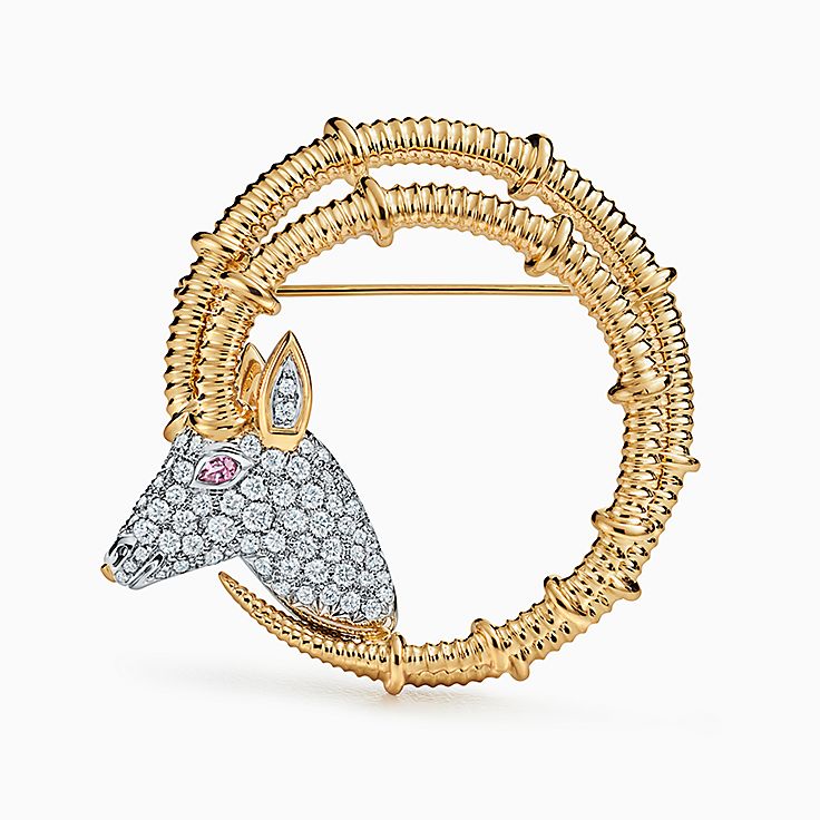 Tiffany & Co. Anemone Diamond Brooch Pin in 18k Yellow Gold – Elie's Fine  Jewelry