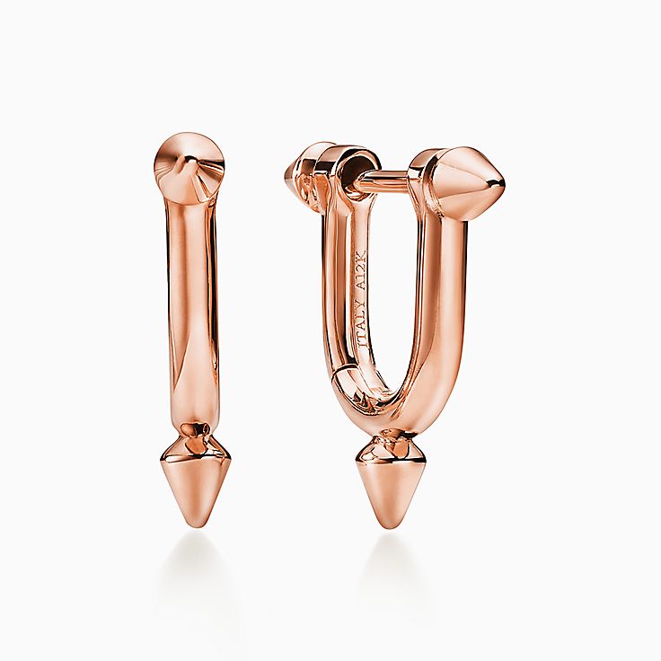 Tiffany Titan by Pharrell Williams:Small Earrings