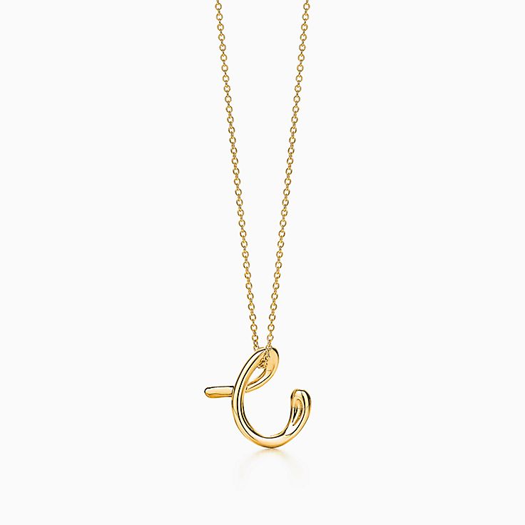 Tiffany & Co. Fish Pendant Necklace 16