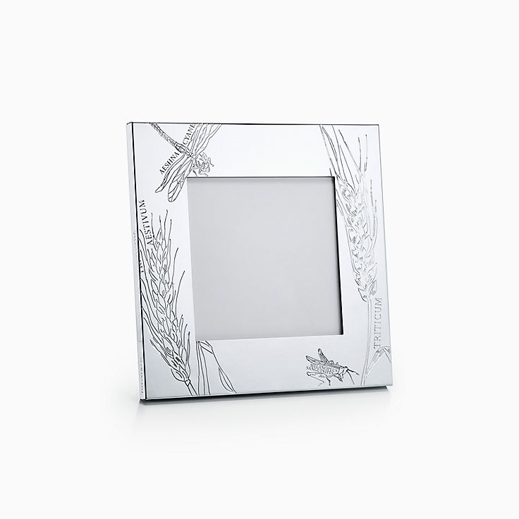 shop tiffany picture frames
