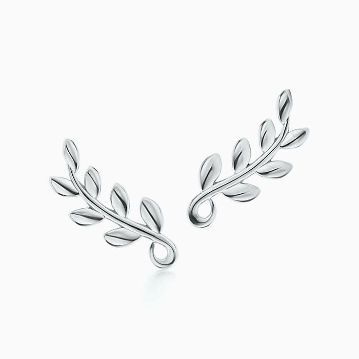 Sterling Silver Earrings Studs Hoops Tiffany Co Https Media Tiffany Is Image Ecombrowsem Paloma Pico Olive Leaf Climber Earrings 60702527 980759 Sv 1 Jpg Op Usm 2 00