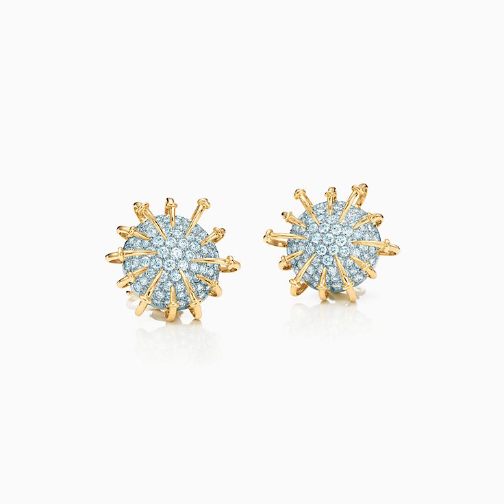 Schlumberger Jewelry Collection Tiffany Co Https Media Tiffany Is Image Ecombrowsem Co Schlumberger Apollo Ear Clips 15149566 934992 Sv 1 Jpg Op Usm 2 00 6 Defaultimage