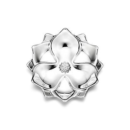 Magnolia Vide Poche