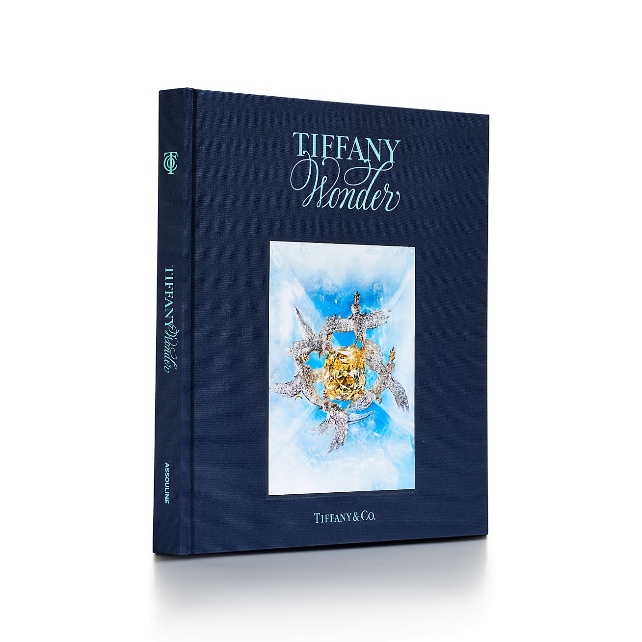 ティファニー ワンダー ブック | Tiffany & Co