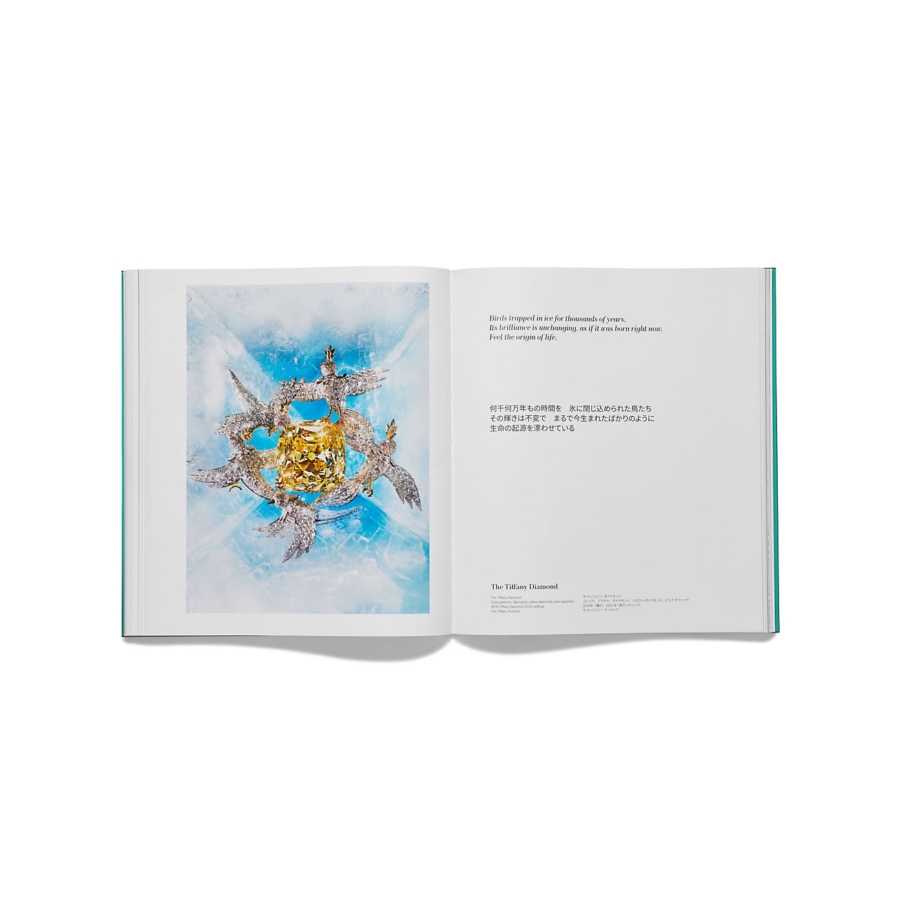 ティファニー ワンダー ブック | Tiffany & Co