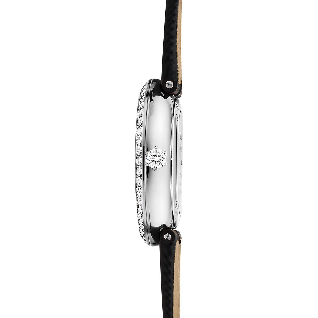 ティファニー TIFFANY Tiffany & Co. TF 3088 women Brown Squared Sunglasses