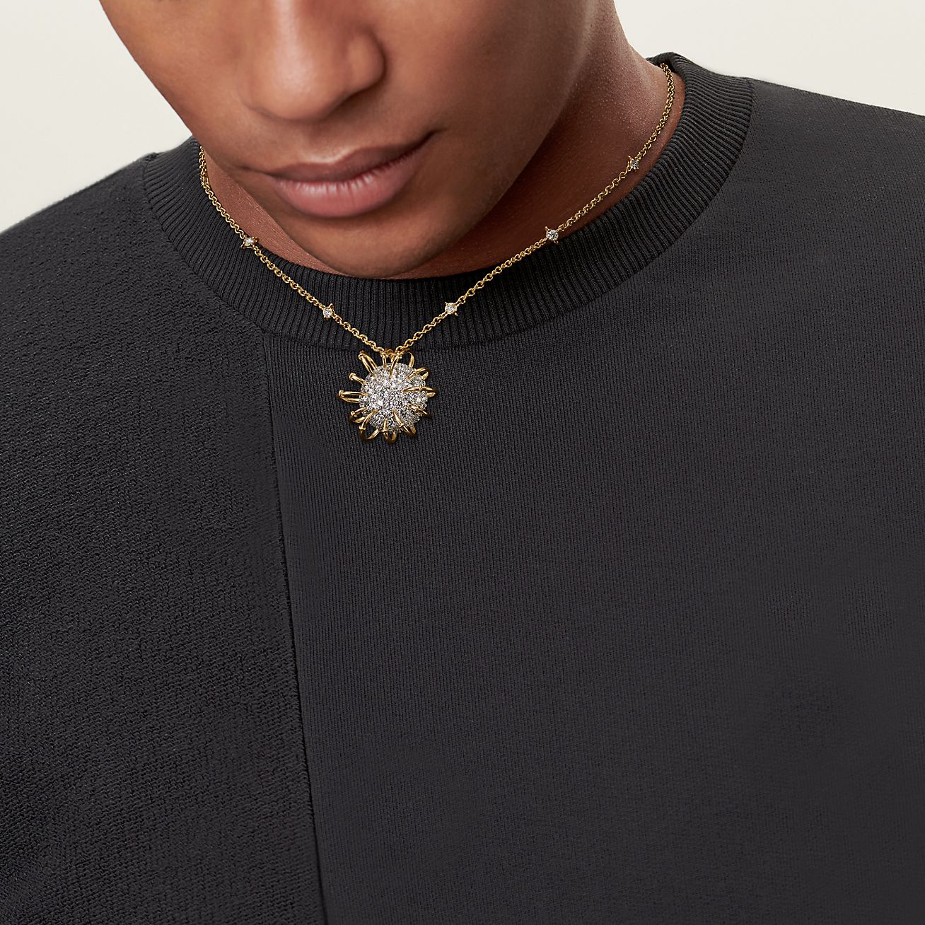 Apollo by Tiffany Pendant in Gold and Platinum with Diamonds - Alternate shot 1 - Alternate shot 2 - Alternate shot 3 - Alternate shot 4 - Modal shot 1 - Modal shot 2