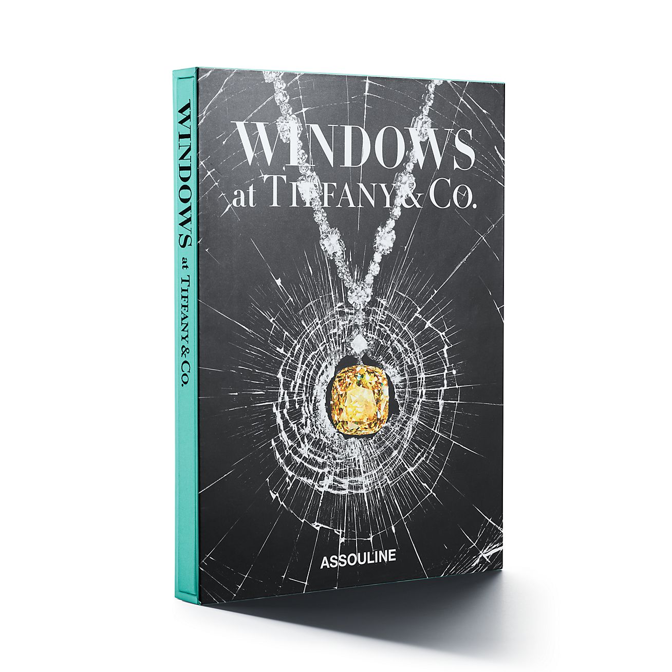 windows at tiffany and co book