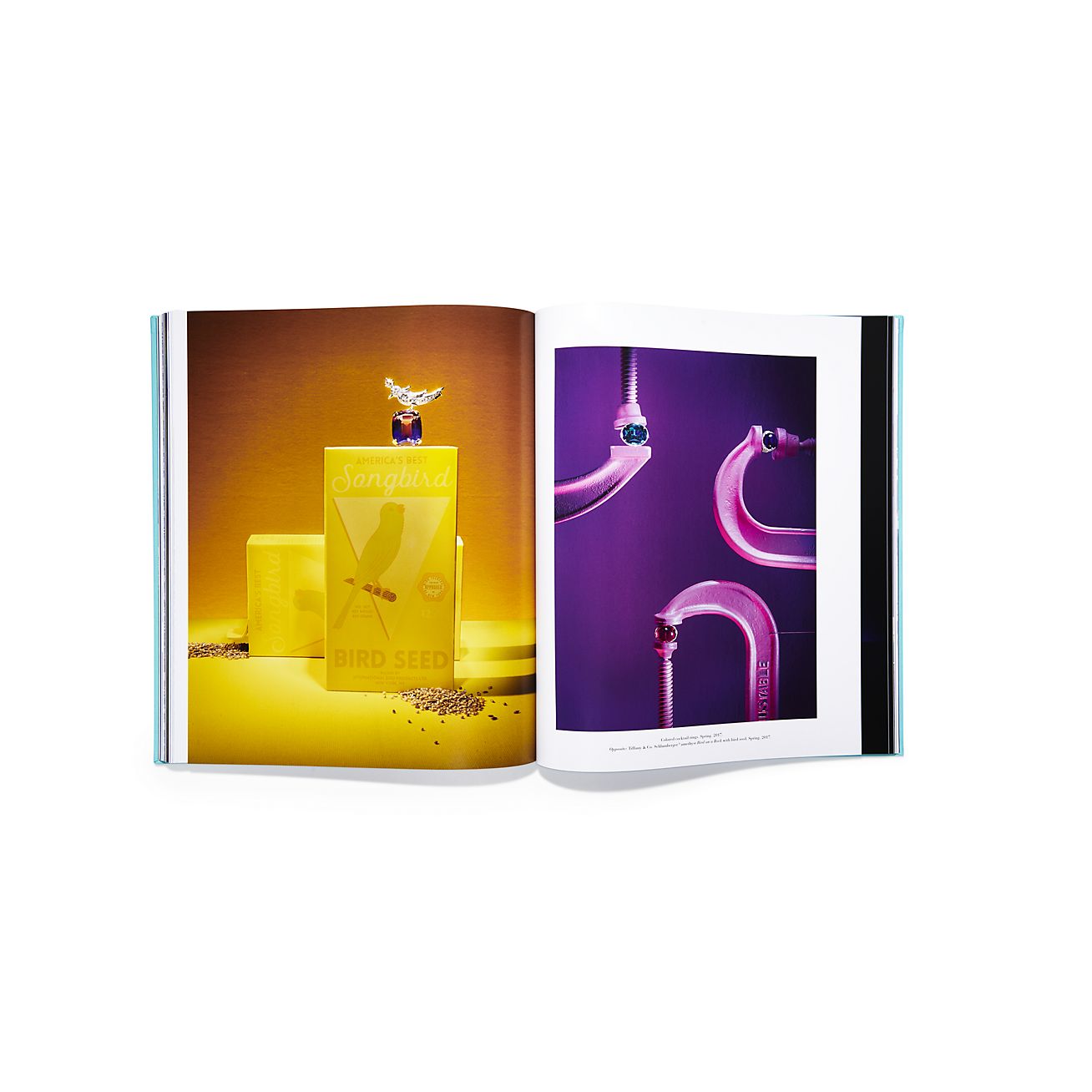 Assouline Windows at Tiffany & Co. 書，終極收藏版。| Tiffany & Co.
