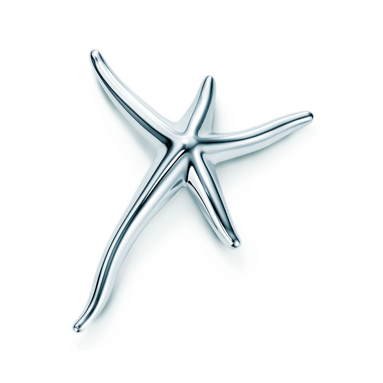 Elsa Peretti® Starfish brooch in 