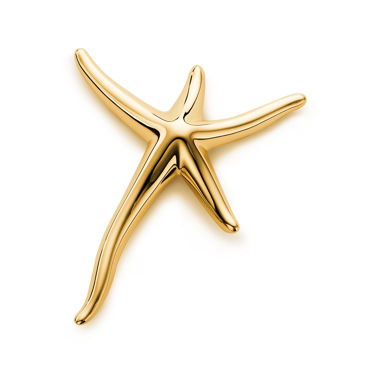 Elsa Peretti® Starfish brooch in 18k 