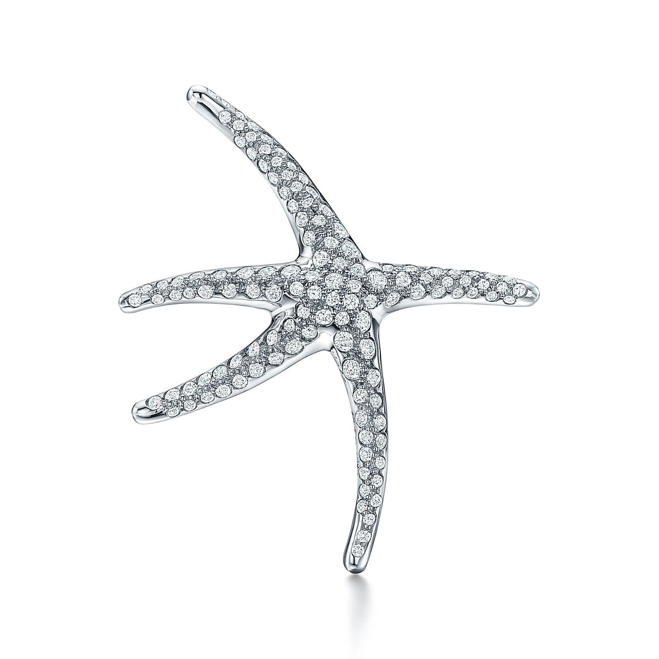 Elsa Peretti® Starfish brooch in 