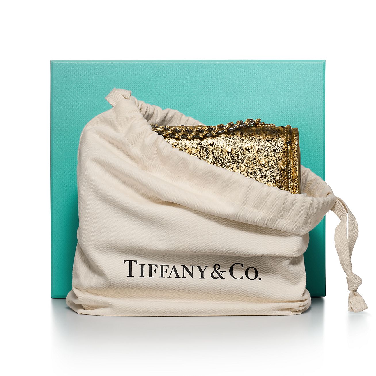 （日本完売色）Tiffany & Co. スモールリボンショルダーバッグ jean-schlumberger-by-tiffany-