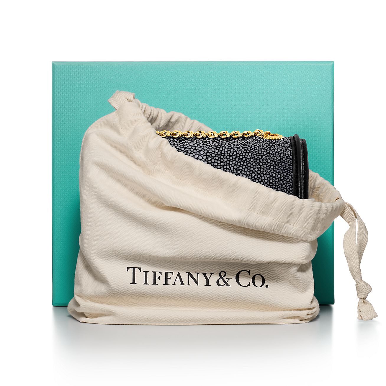 Jean Schlumberger by Tiffany Small Ribbons Shoulder Bag in