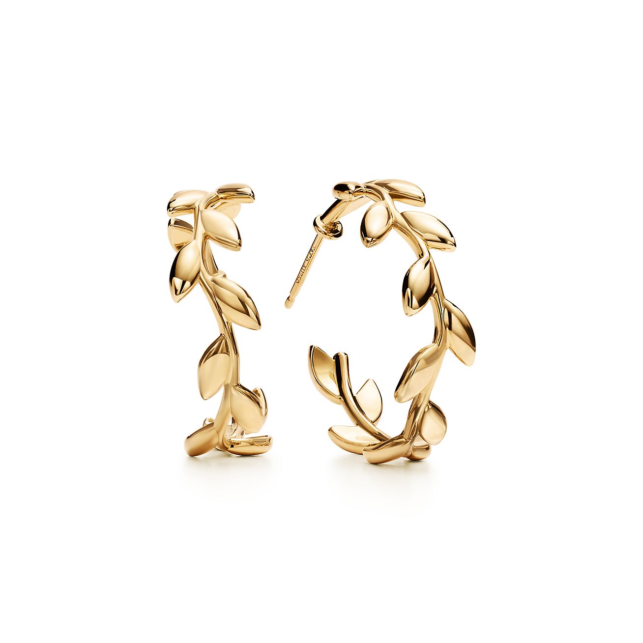 Olive Leaf hoop earrings in 18k gold 