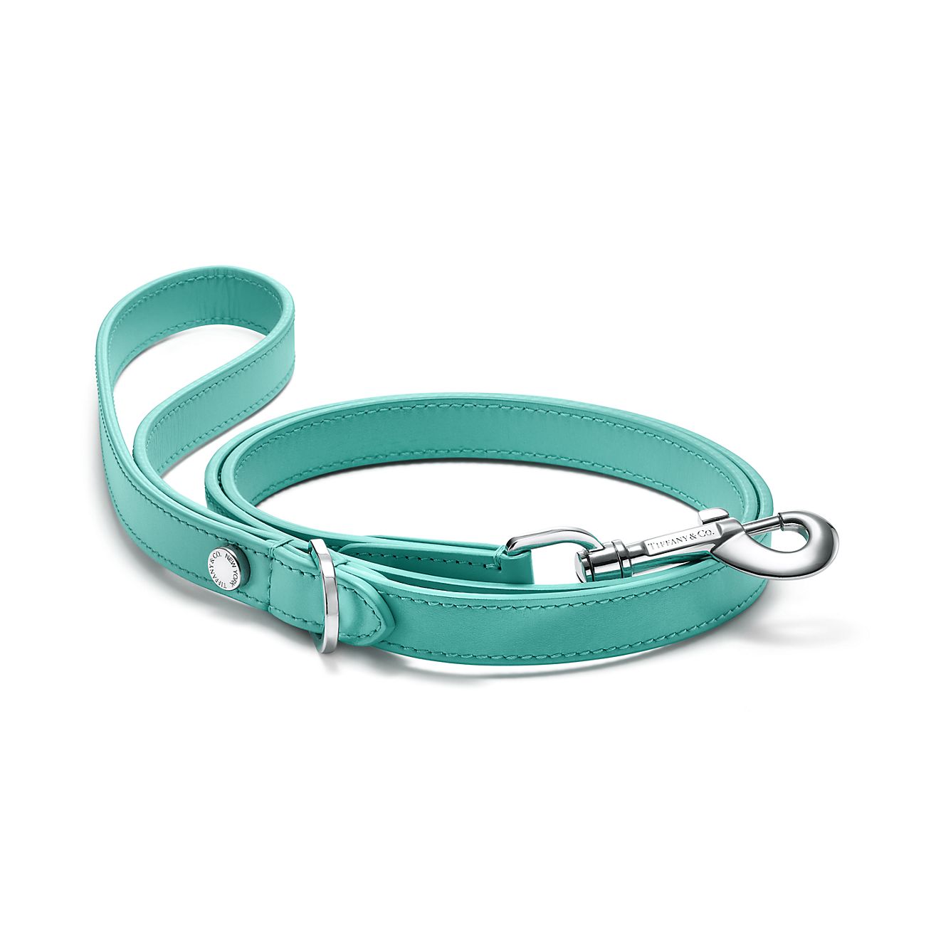 Pet Essentials Leash in Tiffany Blue™ Leather
