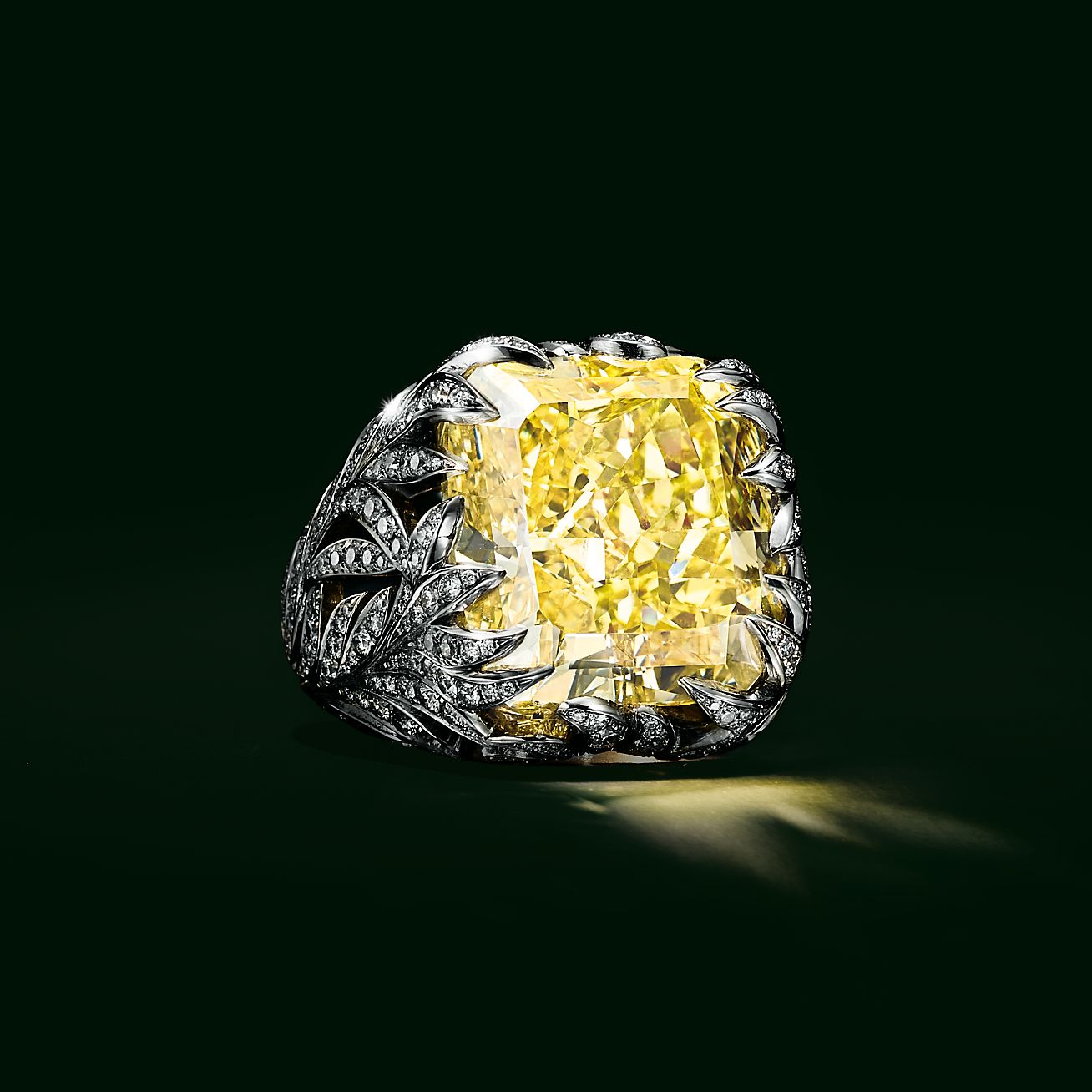 Leaves of the Sun ring in platinum and 18k gold with a fancy