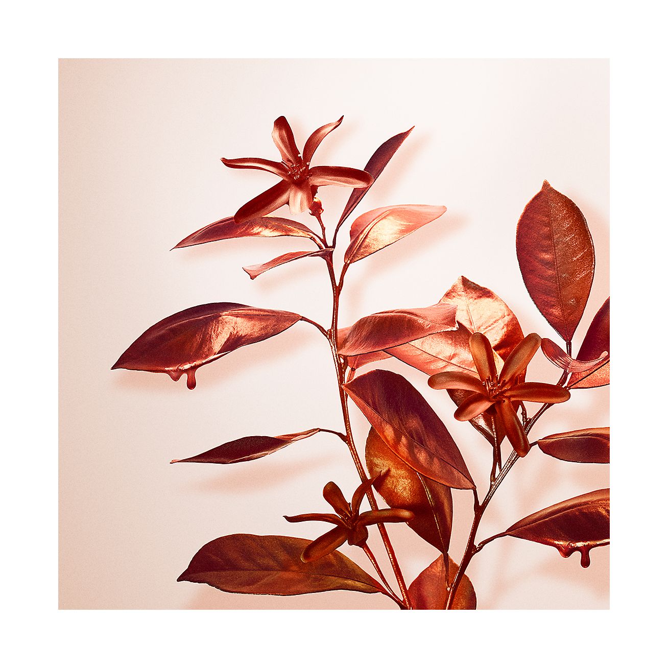 Tiffany & Co. Rose Gold Intense Eau de Parfum | Tiffany & Co. US