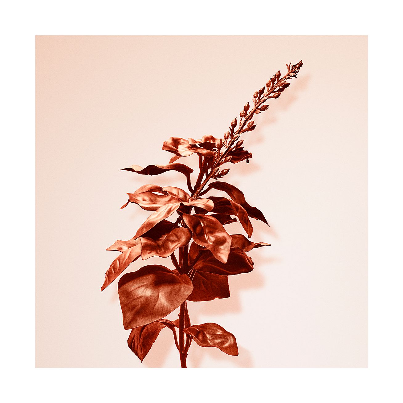 Tiffany & Co. Rose Gold Intense Eau de Parfum | Tiffany & Co. US