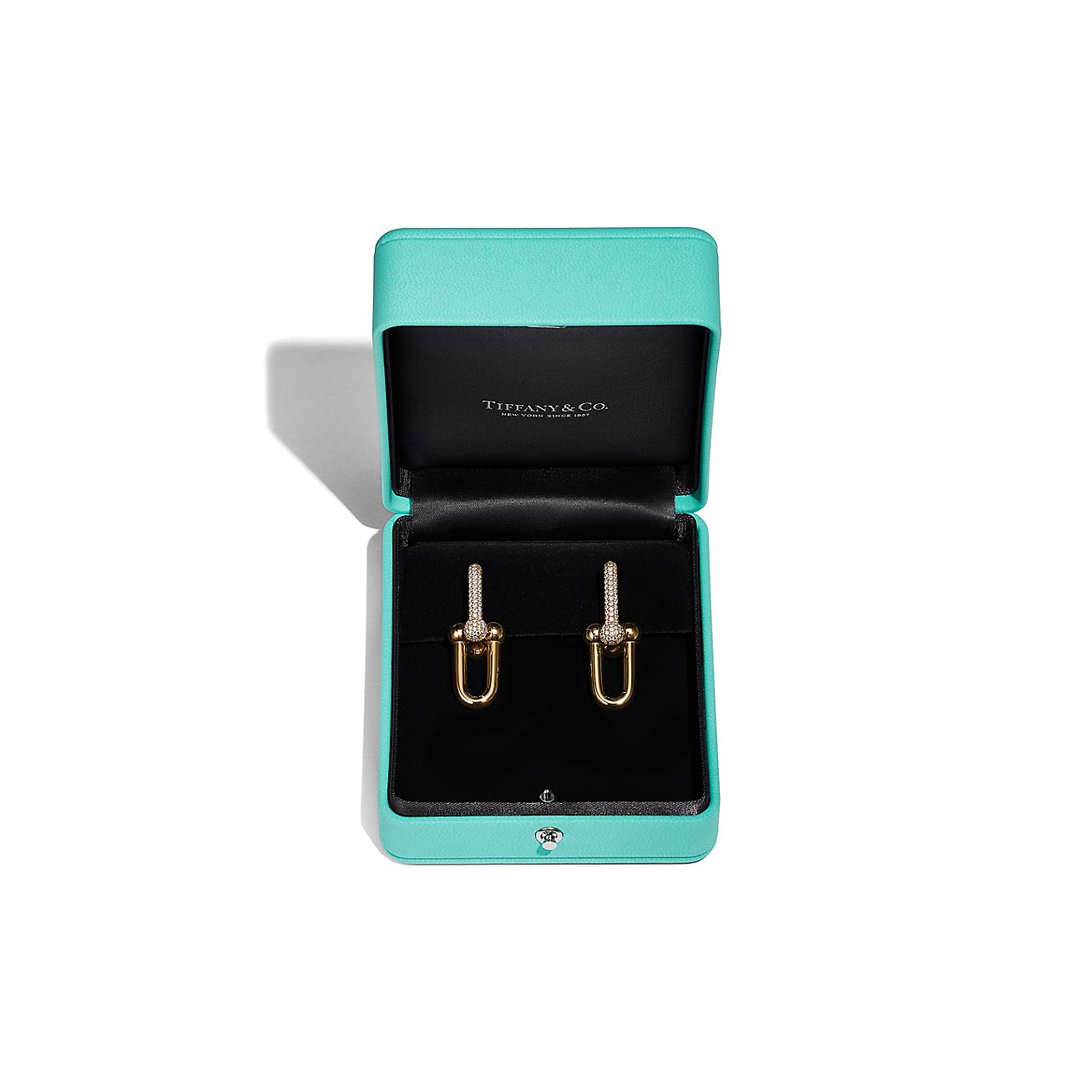 Tiffany and deals co link earrings