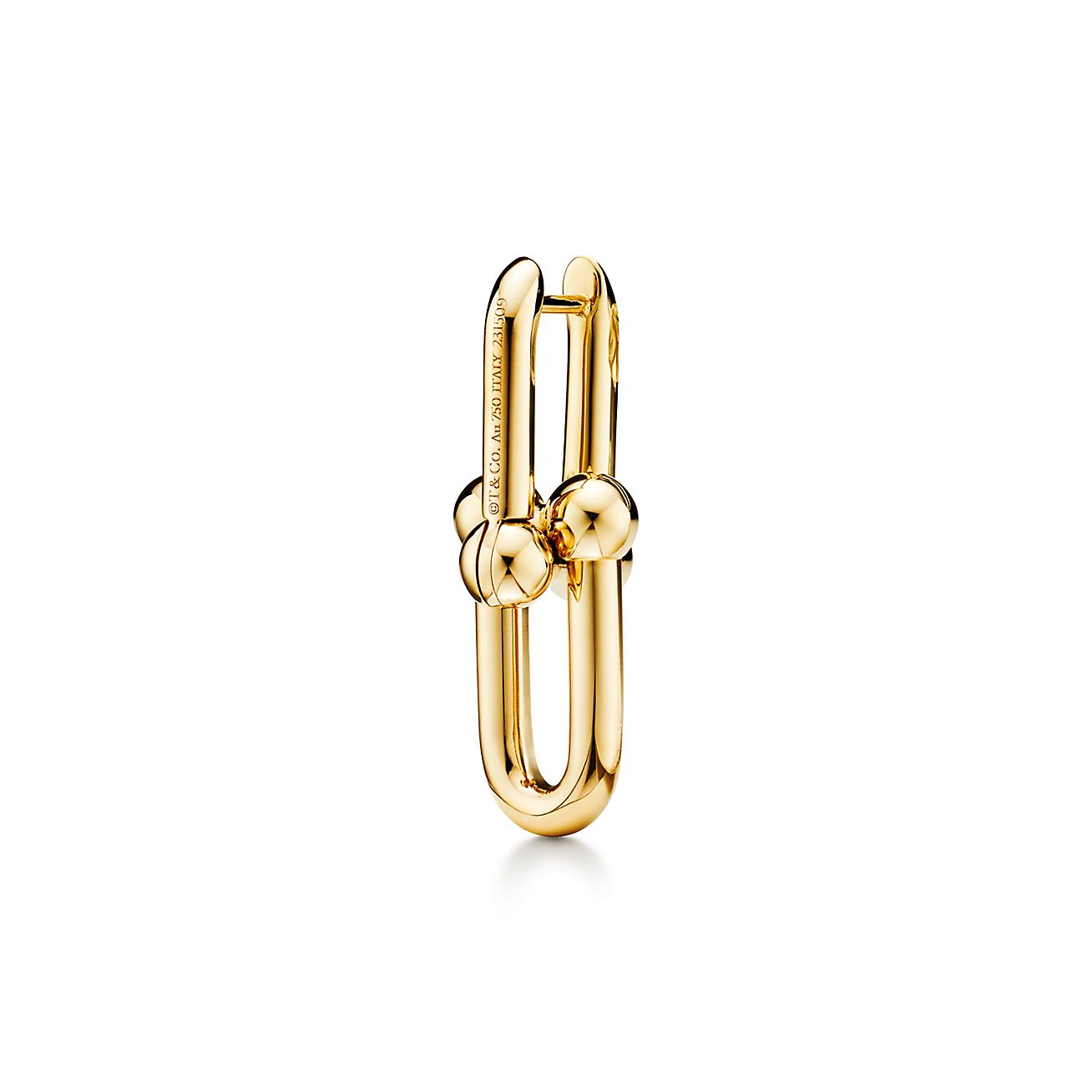 Tiffany HardWear Medium Link Earrings