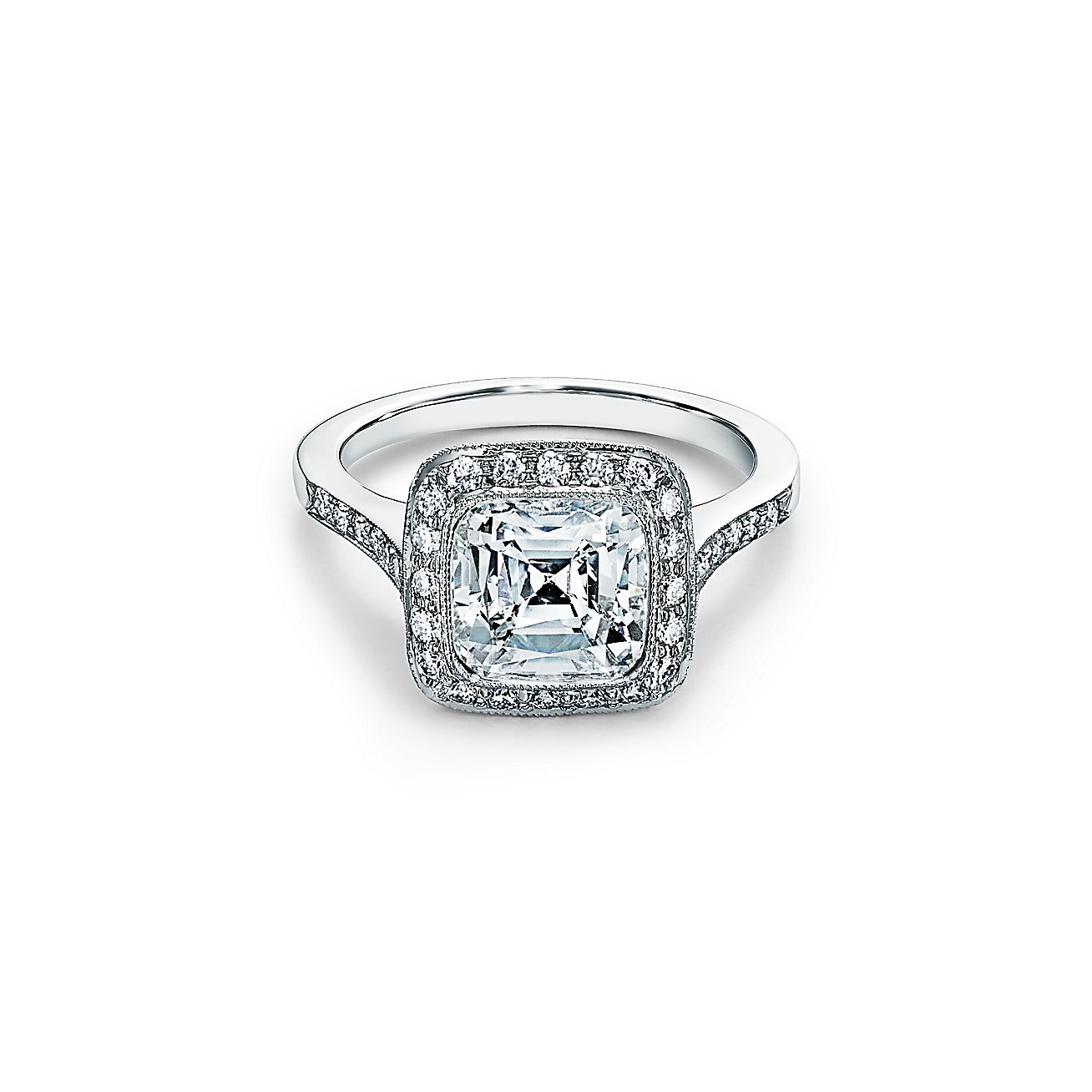 Citizenship Shrink Indefinite Tiffany Legacy® Engagement Ring with a Diamond Band in Platinum