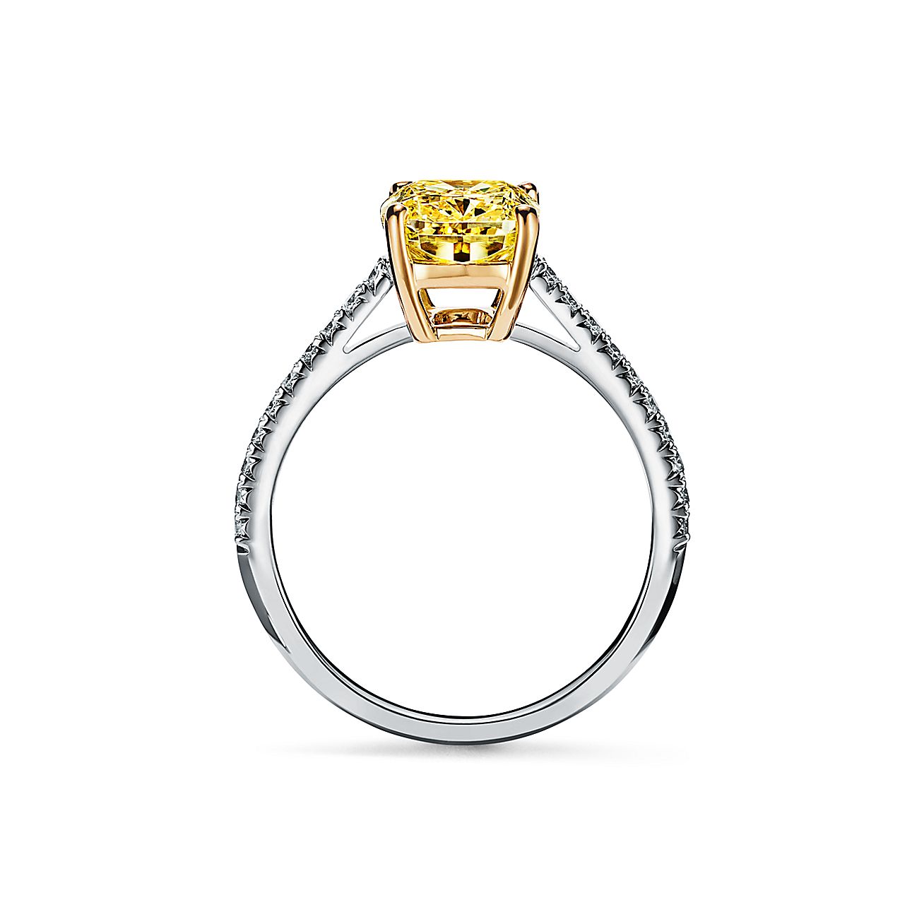 Tiffany Engagement Rings: Fantastic Ring Ideas  Tiffany engagement ring, Yellow  diamond engagement ring, Yellow diamonds engagement