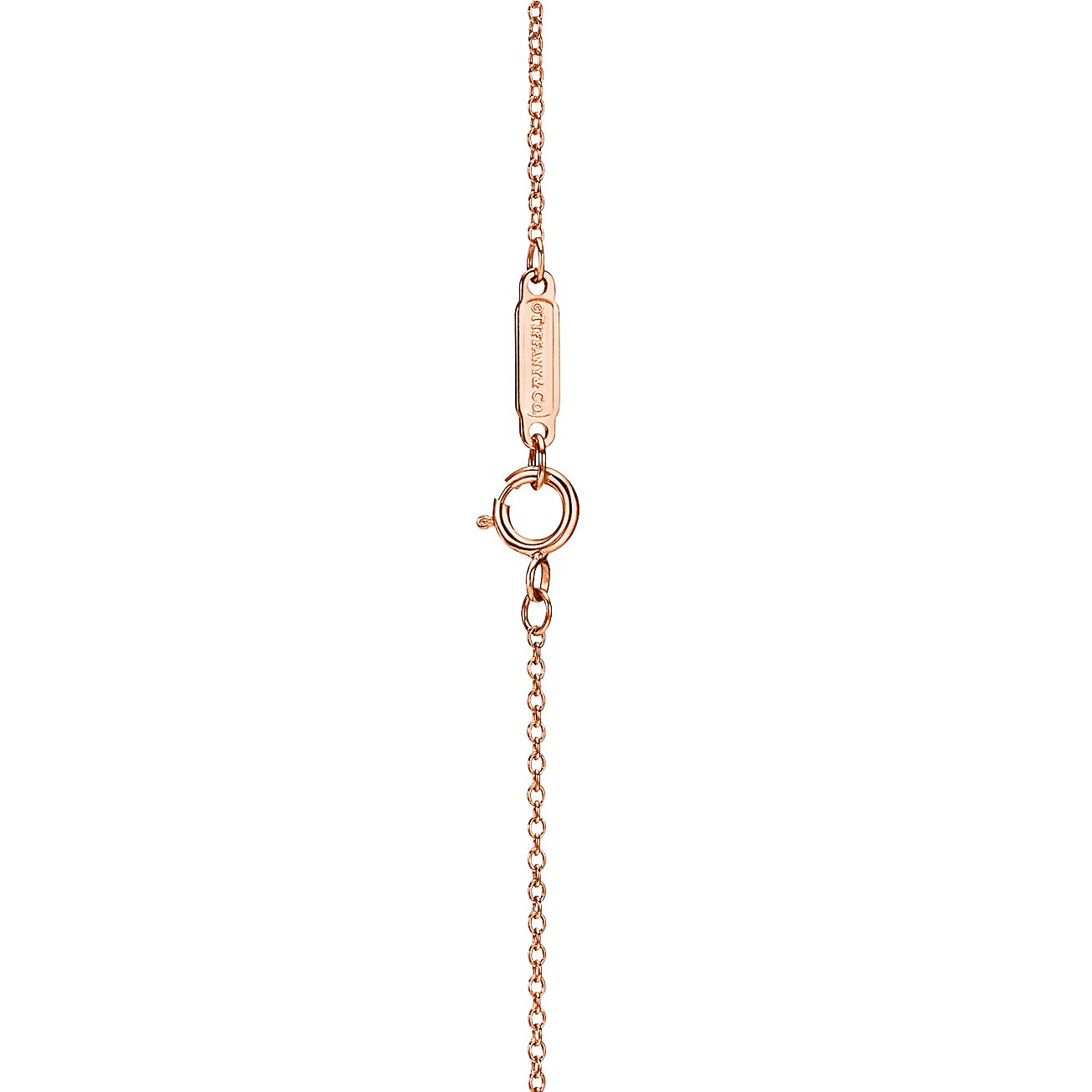 Tiffany Victoria® Diamond Vine Circle Pendant