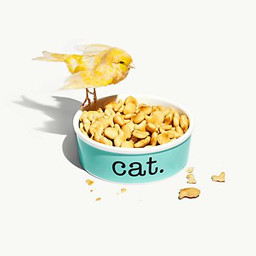 オンライン・一部店舗限定】キャット ボウル ボーンチャイナ | Tiffany 