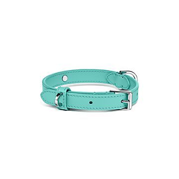 ペット エッセンシャル カラー ティファニー ブルー レザー | Tiffany