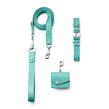 ペット エッセンシャル カラー ティファニー ブルー キャンバス