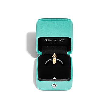 Tiffany & Co. Titan リング チタン製 ティファニー タイタン BY ファレル・ウィリアムス リング