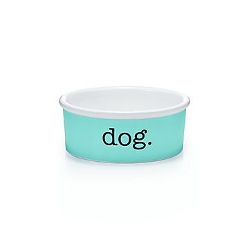 turquoise dog bowl