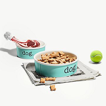 Dog bowl in bone china, small. | Tiffany & Co. US