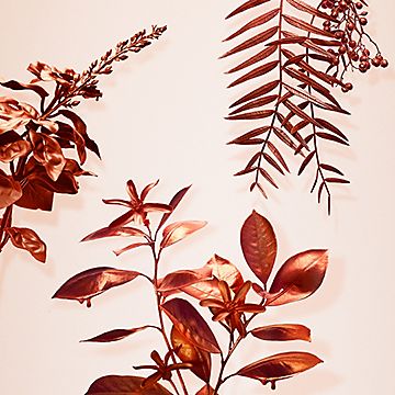 tiffany-corose-gold-intense-