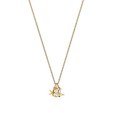 Tiffany \u0026 Love star and moon pendant in 