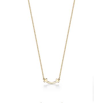 tiffany co t necklace