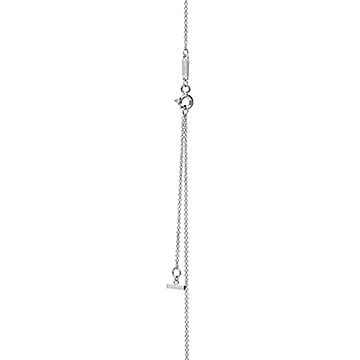 TIFFANY & CO.（ティファニー）ネックレス その他（柄物